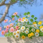 flower images